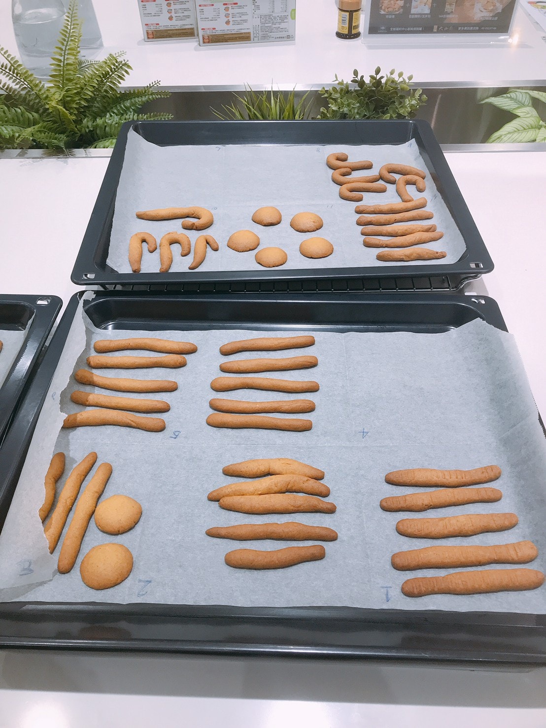 20201123 _1_201123_35.jpg 20201123 _1_201123_35.jpg