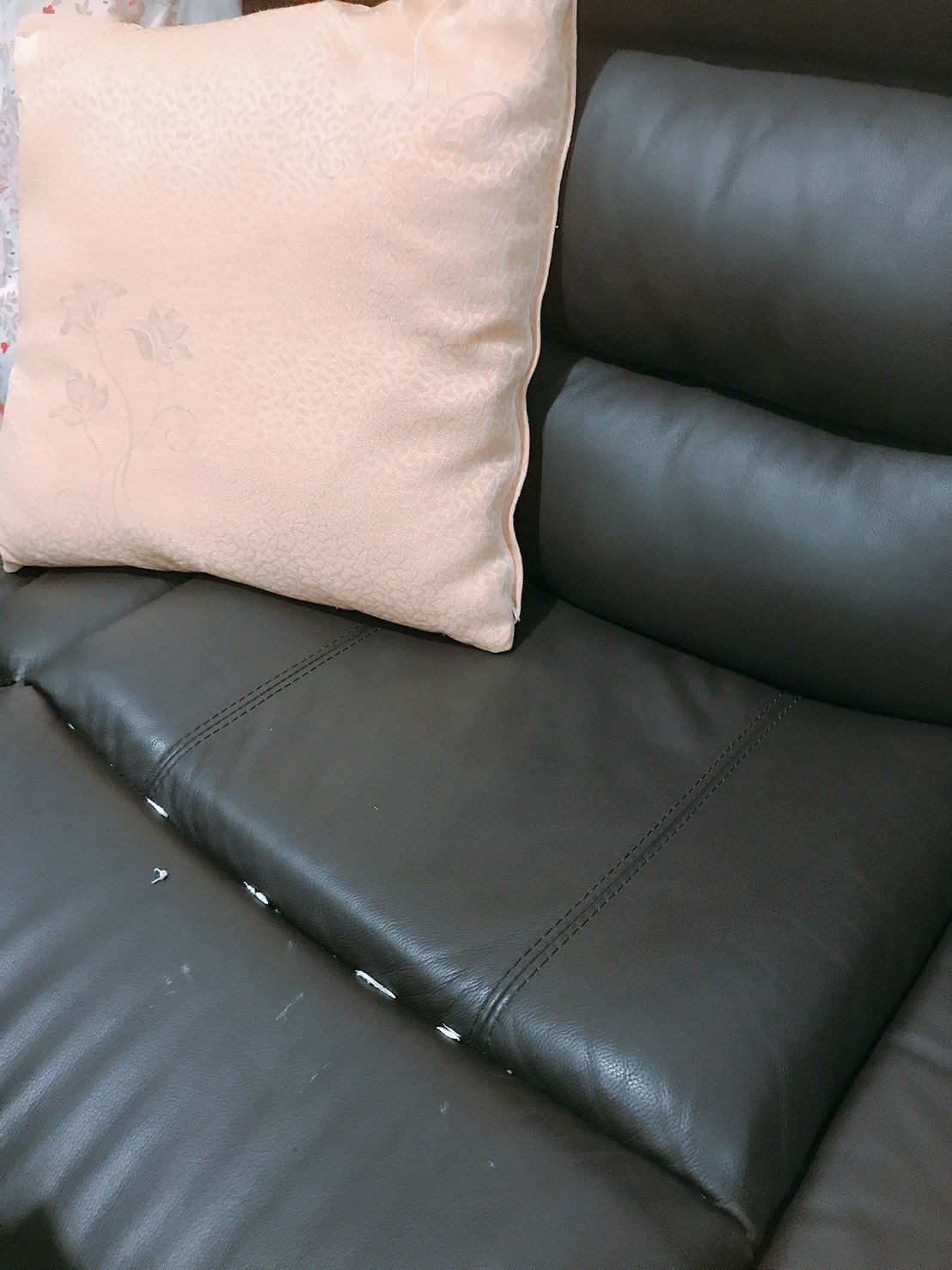 2021130_210130_11.jpg 2021130_210130_11.jpg