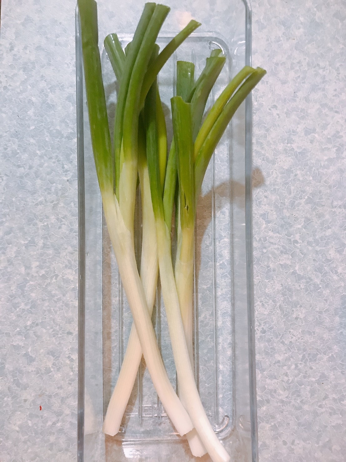 韓國《Silicook》冰箱收納的專家保鮮盒༺懶人必備x生