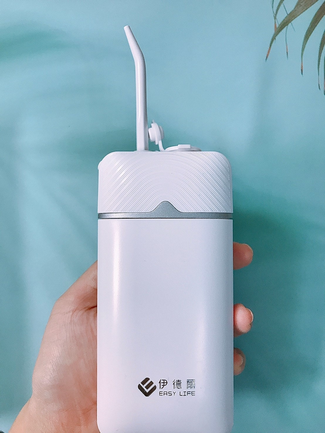 2021325_210326_8.jpg 2021325_210326_8.jpg