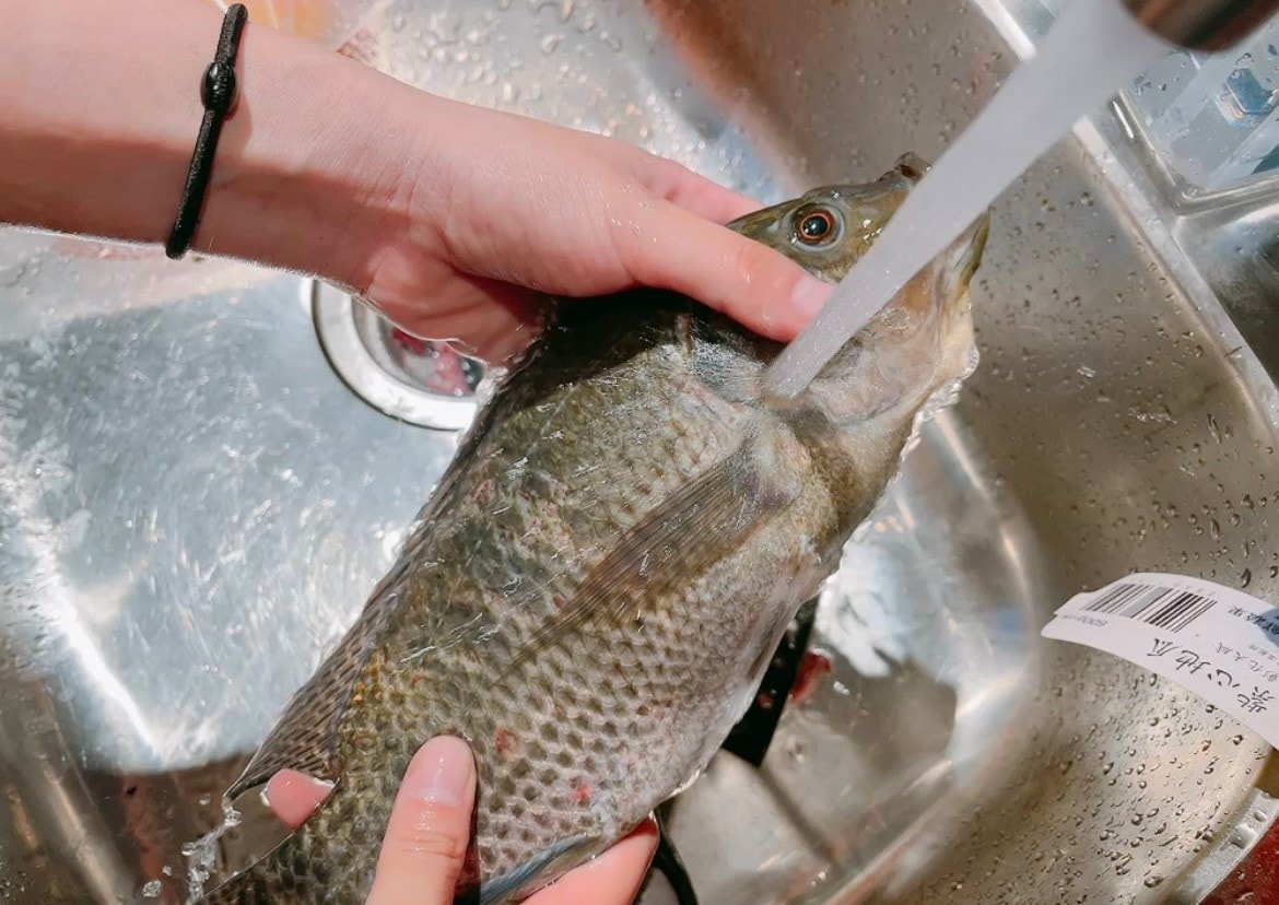 -田野森農場MORILIFE*。宜蘭冬山鄉懶人露營x免裝備露