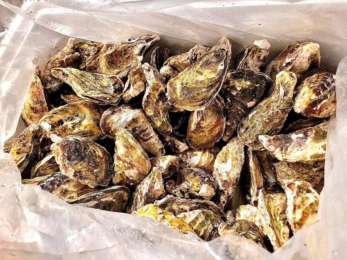 -田野森農場MORILIFE*。宜蘭冬山鄉懶人露營x免裝備露