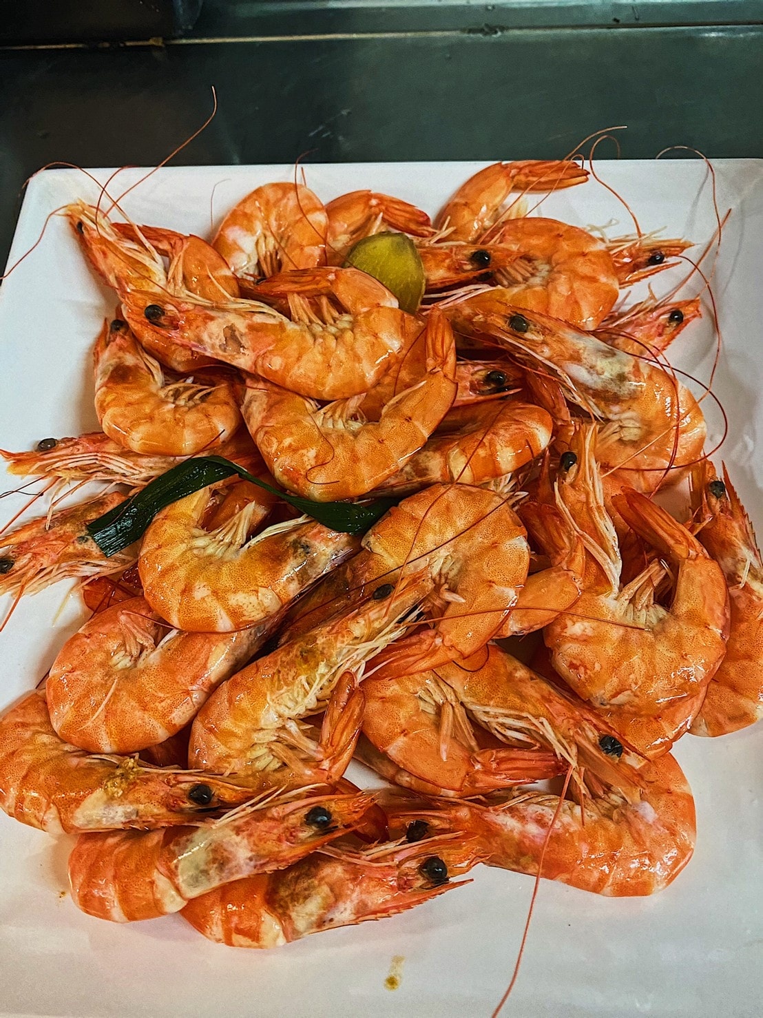 2021414_210415_17.jpg 2021414_210415_17.jpg