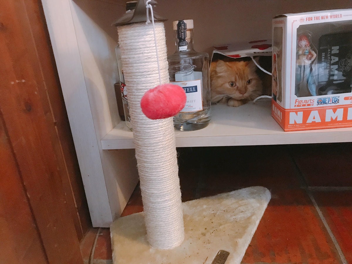 20201123 _2_201125_25.jpg 20201123 _2_201125_25.jpg