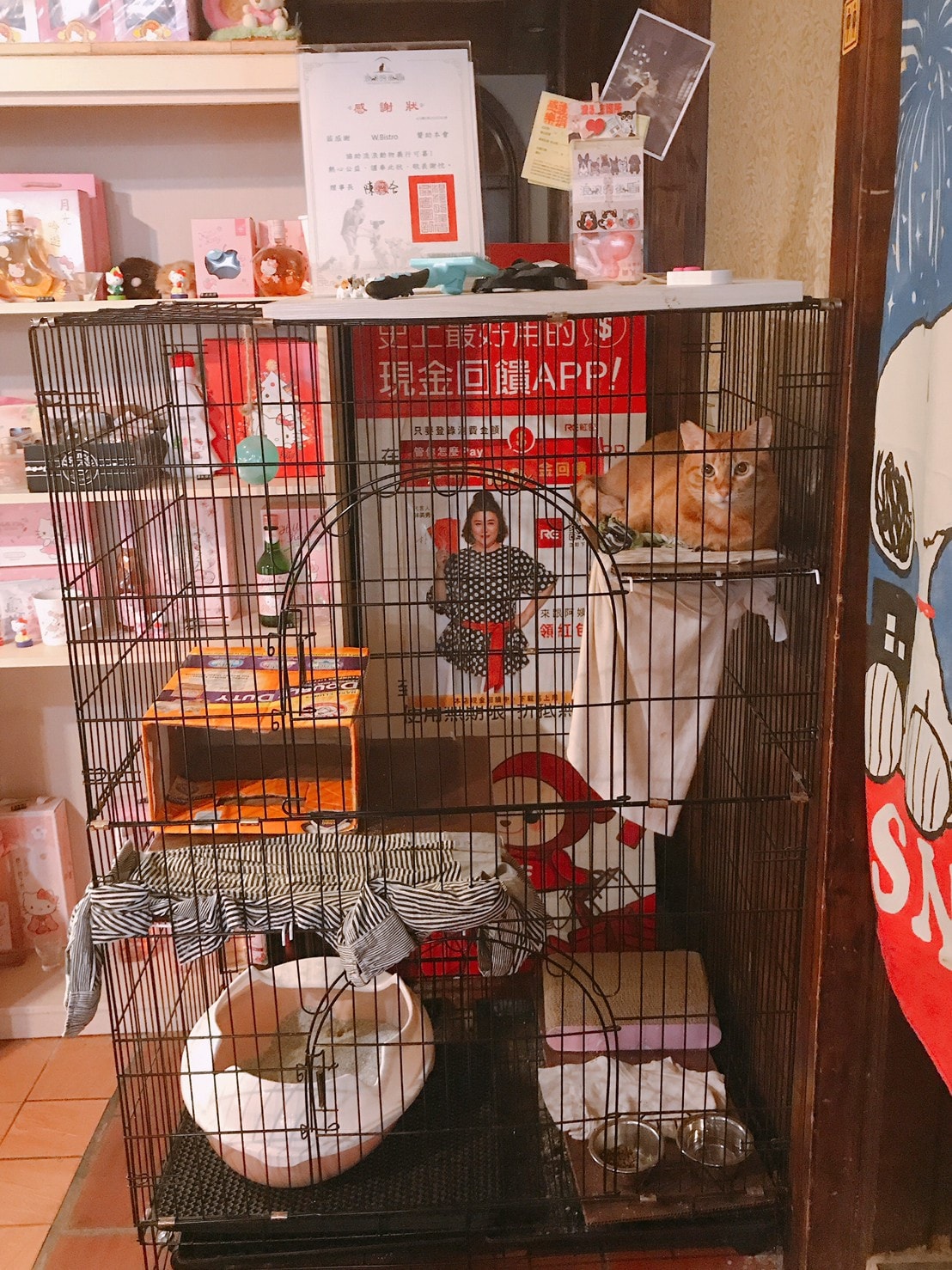 20201123 _2_201125_20.jpg 20201123 _2_201125_20.jpg