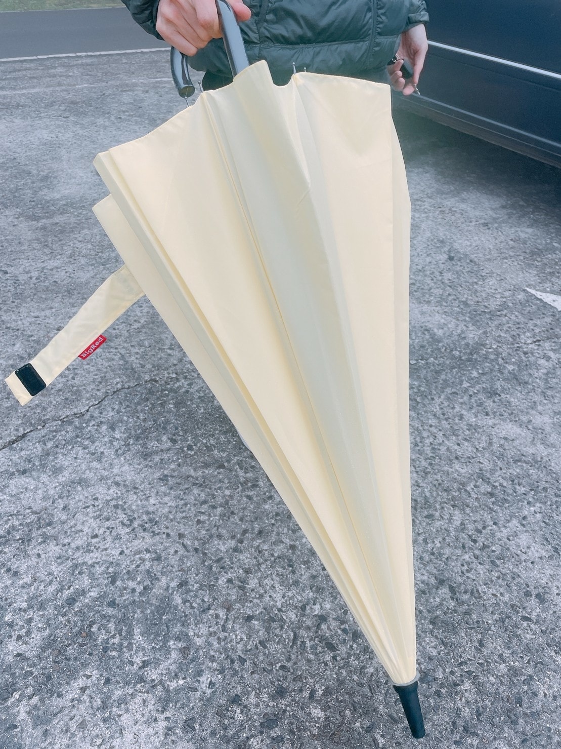 雨傘王BigRed自動直傘/自動折傘推薦༺防風/抗雨/抗UV 雨傘王BigRed自動直傘/自動折傘推薦༺防風/抗雨/抗UV