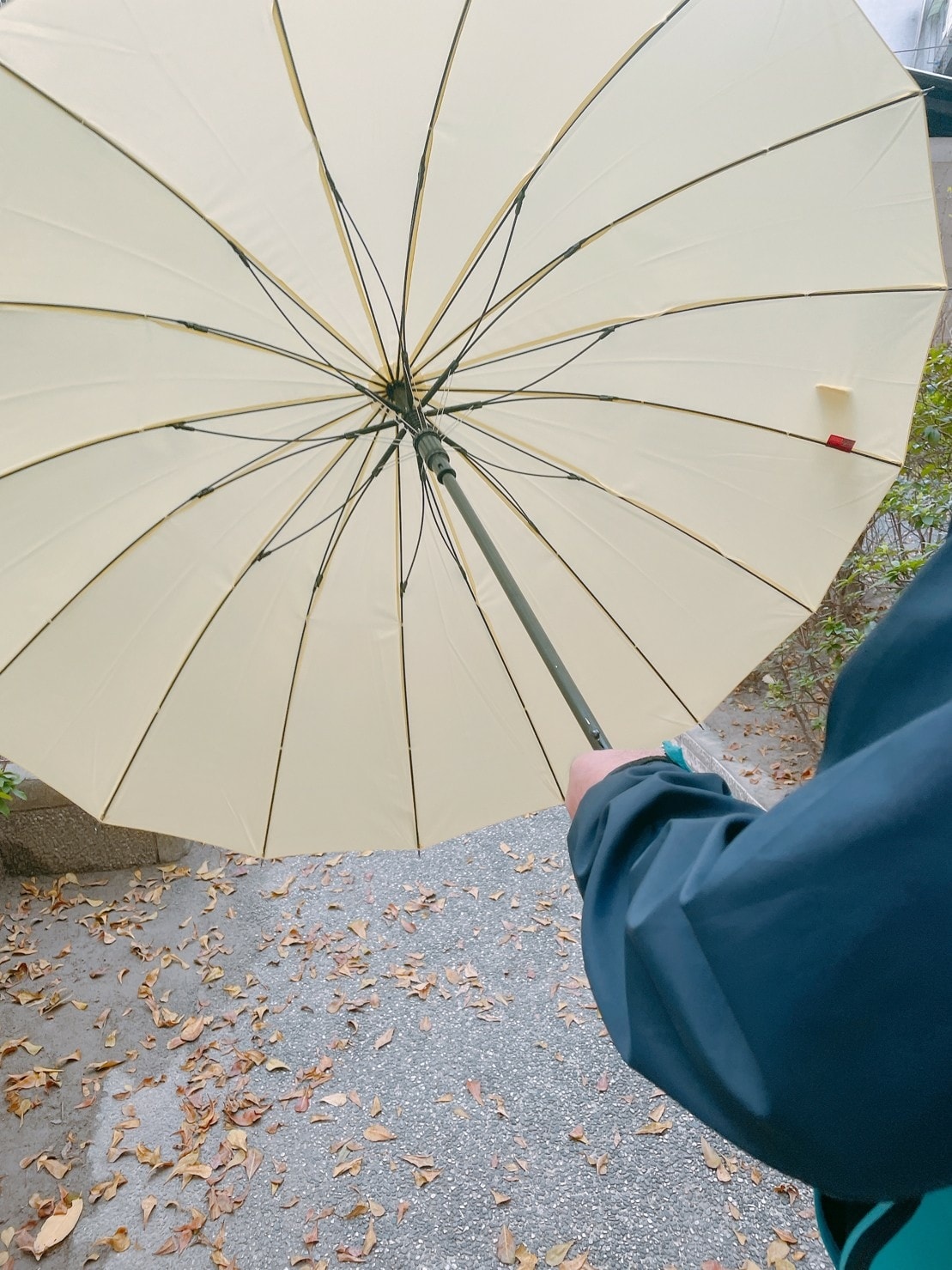 雨傘王BigRed自動直傘/自動折傘推薦༺防風/抗雨/抗UV 雨傘王BigRed自動直傘/自動折傘推薦༺防風/抗雨/抗UV