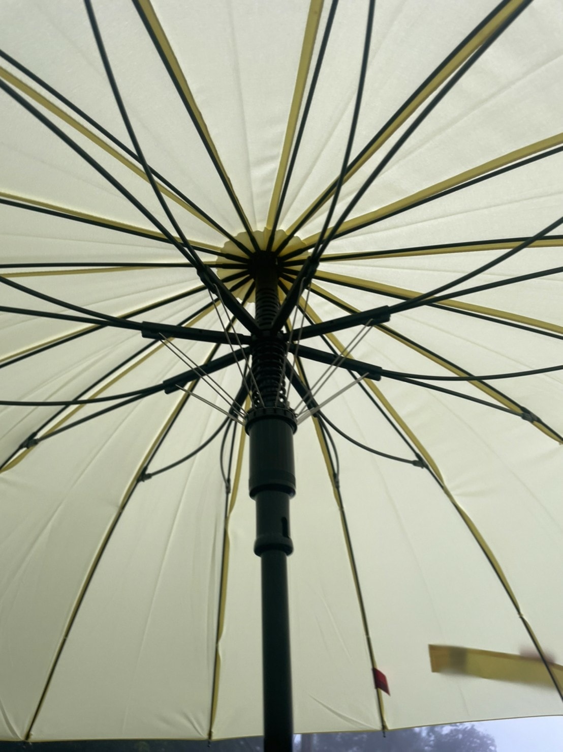 雨傘王BigRed自動直傘/自動折傘推薦༺防風/抗雨/抗UV 雨傘王BigRed自動直傘/自動折傘推薦༺防風/抗雨/抗UV