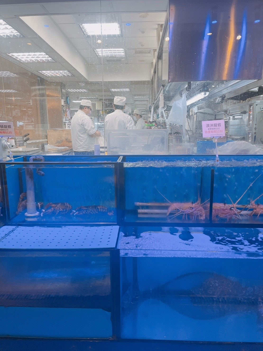 食記典華雅聚士林店粵菜創意港式飲茶港點聚餐餐廳x脆皮櫻桃 食記典華雅聚士林店粵菜創意港式飲茶港點聚餐餐廳x脆皮櫻桃