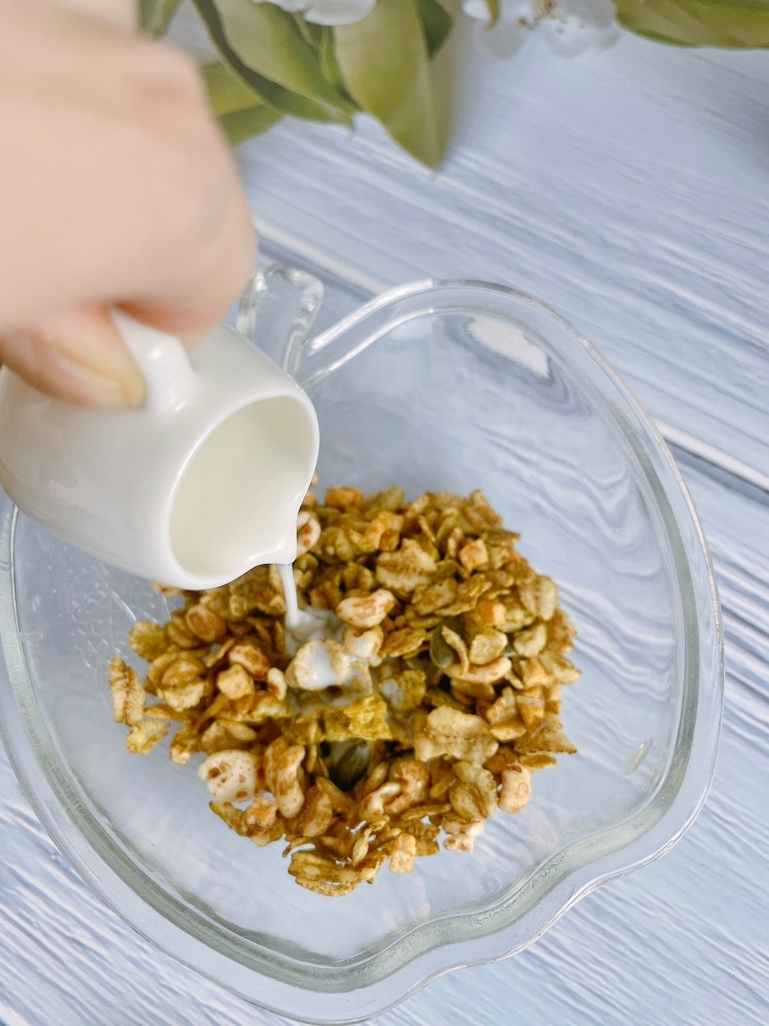 食記 ཾGraci 拉脫維亞營養全穀麥片༺喬山生機麥片x高纖