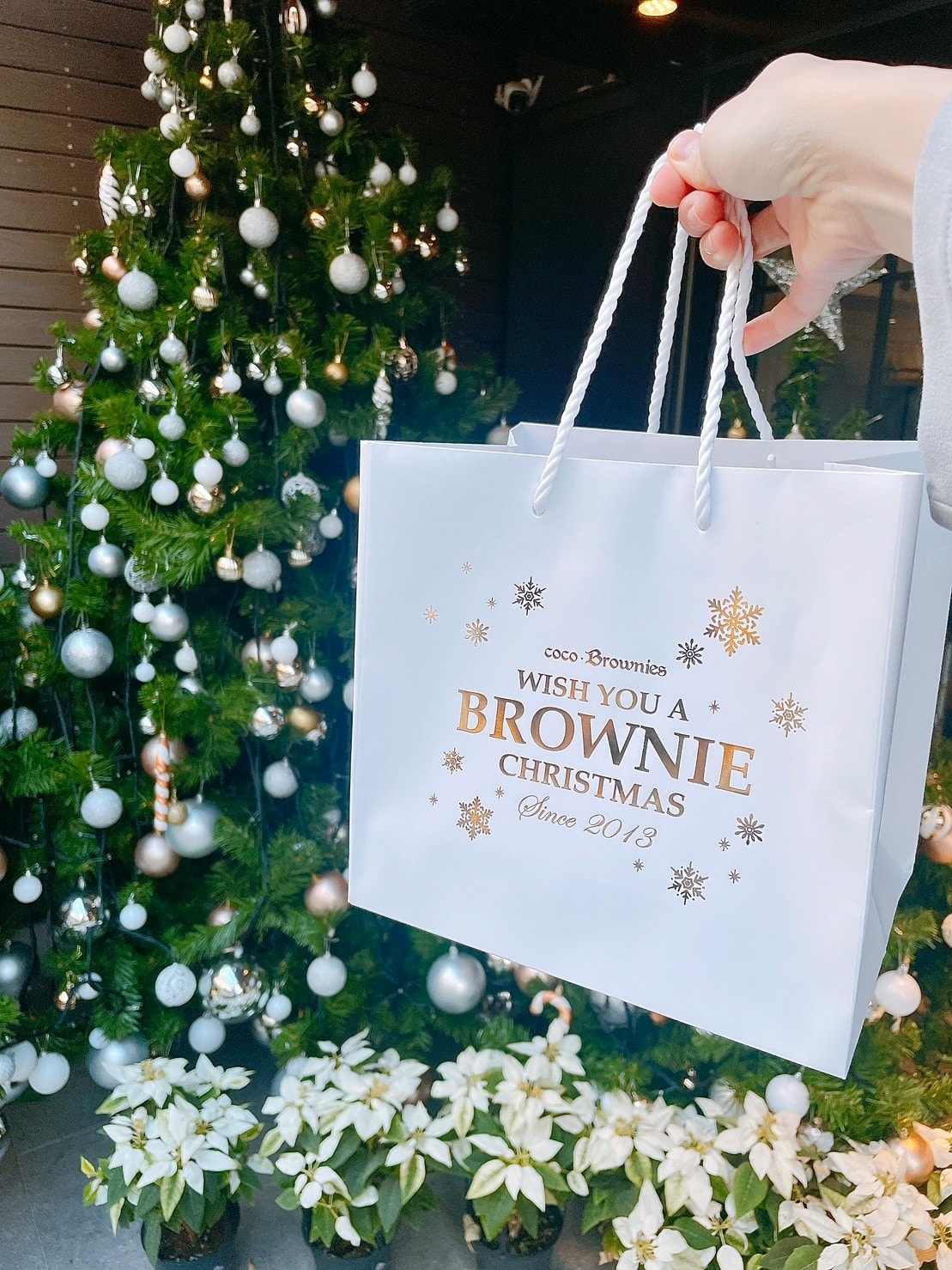 食記coco.Brownies可可布朗台北東區綿密扎實布