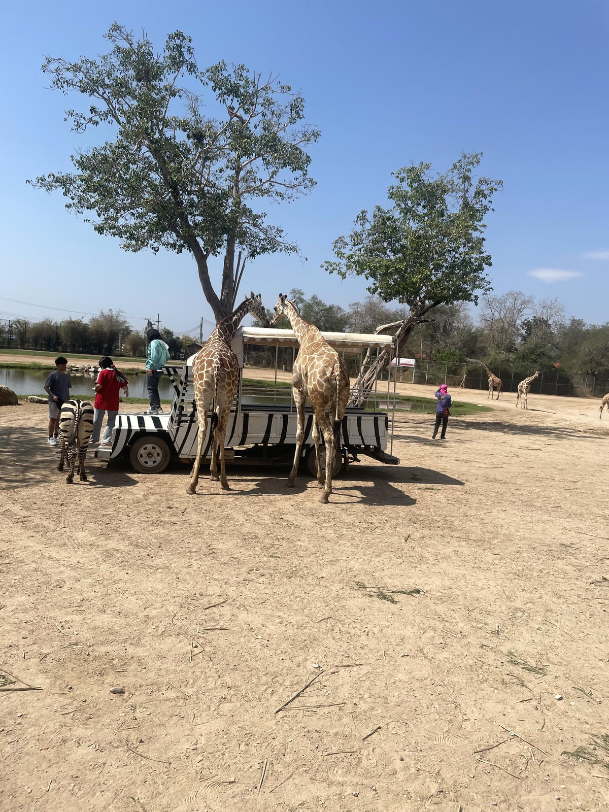 -泰國免簽北碧府自由行懶人包行程x包車自助旅遊攻略-