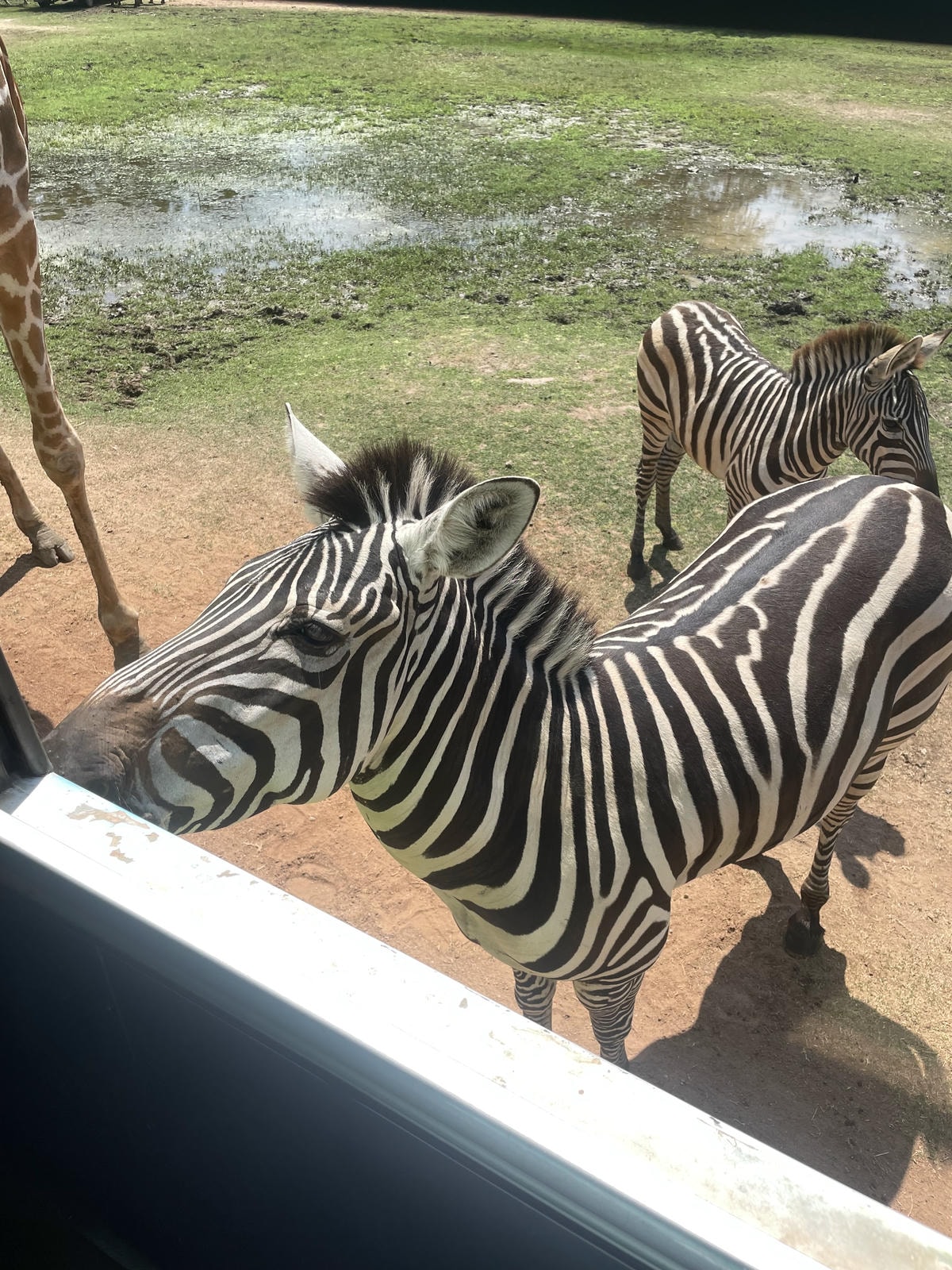 -泰國免簽北碧府自由行懶人包行程x包車自助旅遊攻略-