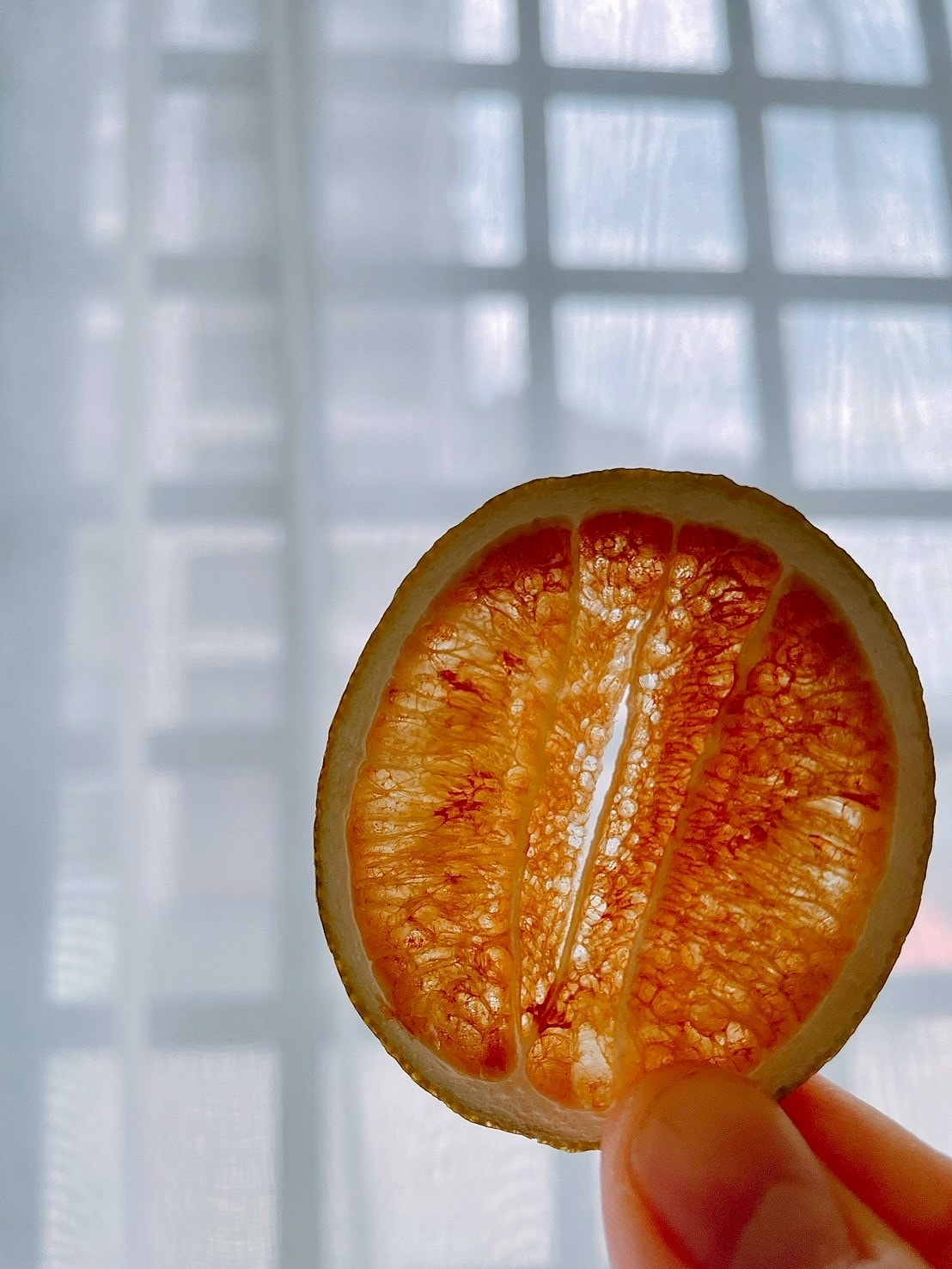 食記暖暖純手作純果乾無糖無添加無人工香精夏日補水推薦