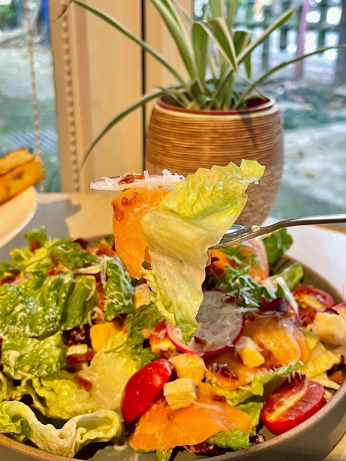 食記La Foresta by Narrative 森林敘