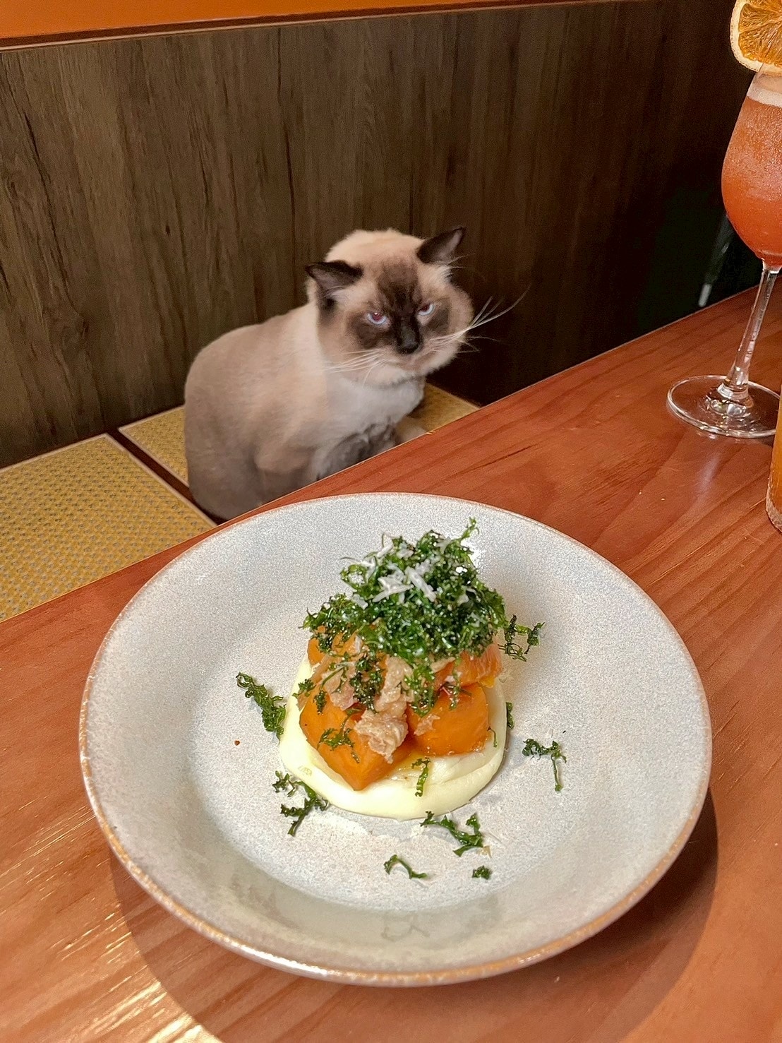 貓之伊甸 Cat In Eden餐酒館