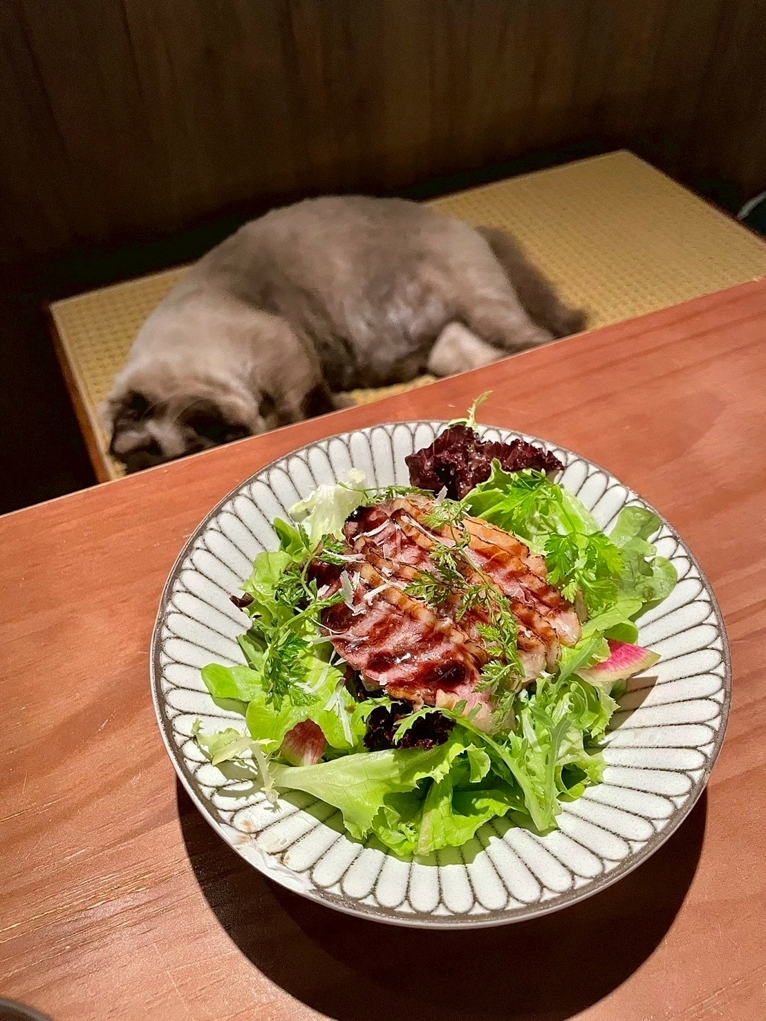 貓之伊甸 Cat In Eden餐酒館