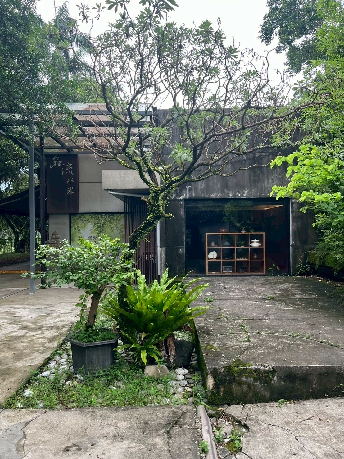 食記名流水岸新北新店烏來日式景觀餐廳x森林系玻璃屋,享受