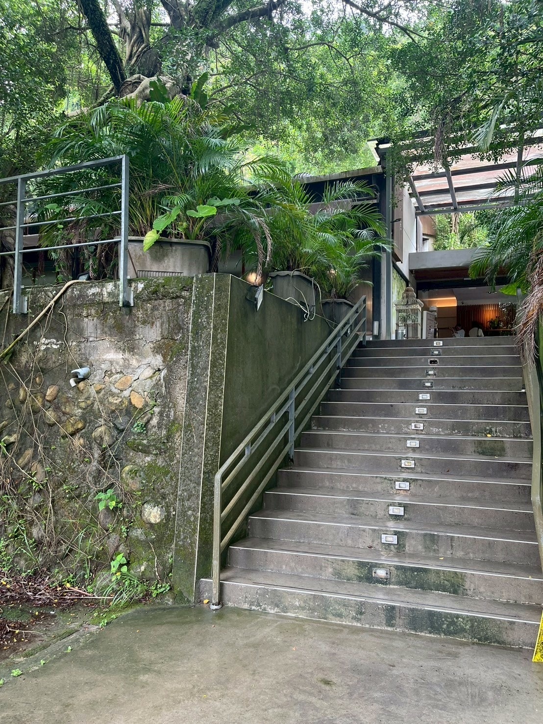 食記名流水岸新北新店烏來日式景觀餐廳x森林系玻璃屋,享受
