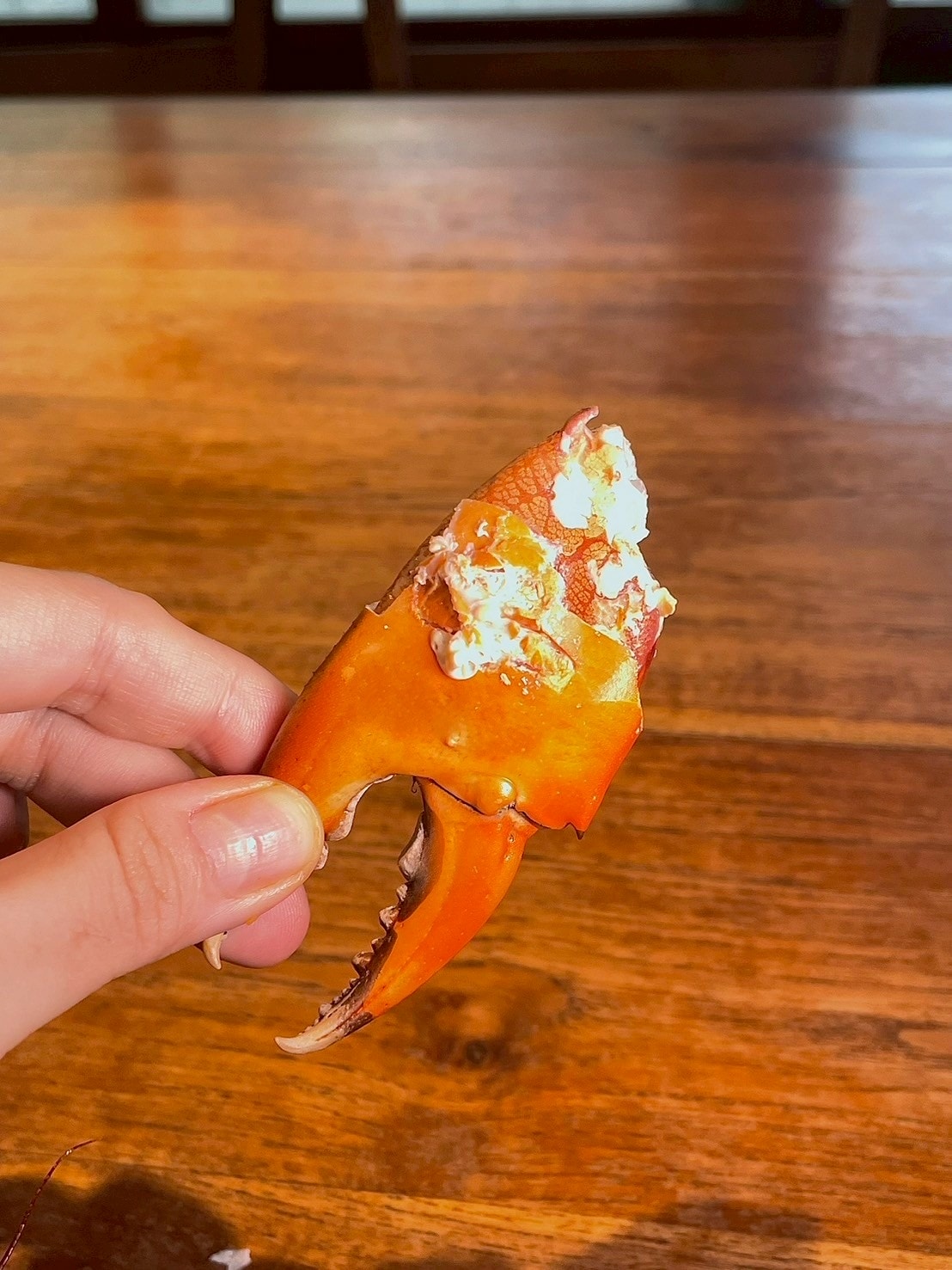 食記名流水岸新北新店烏來日式景觀餐廳x森林系玻璃屋,享受