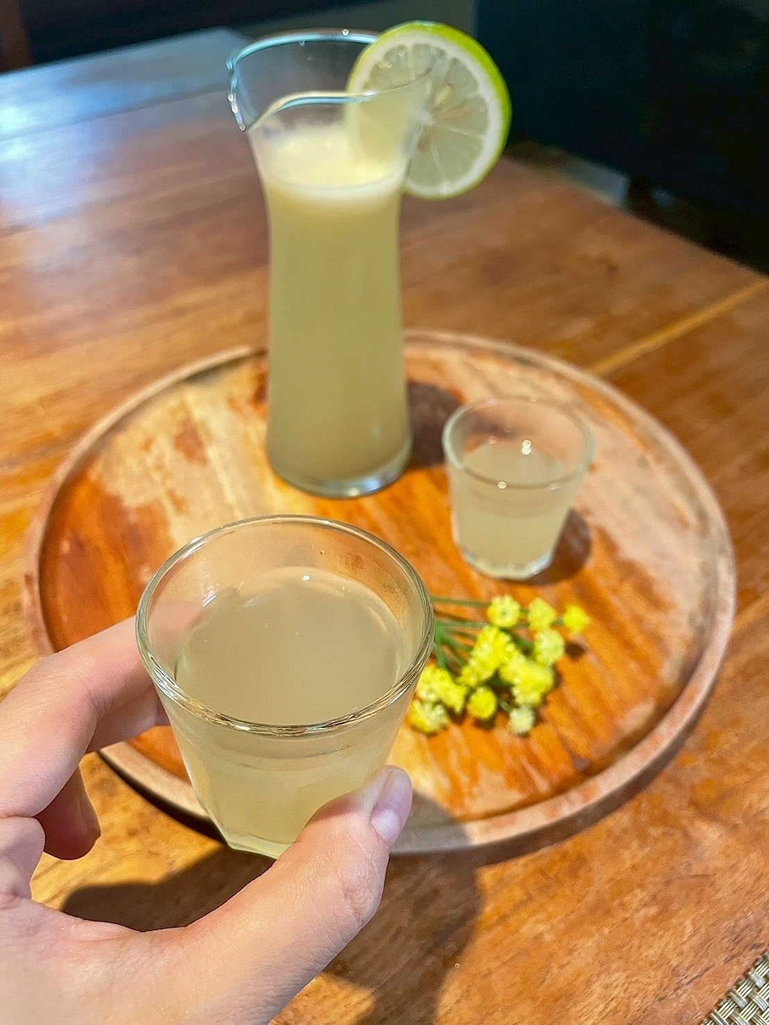 食記名流水岸新北新店烏來日式景觀餐廳x森林系玻璃屋,享受