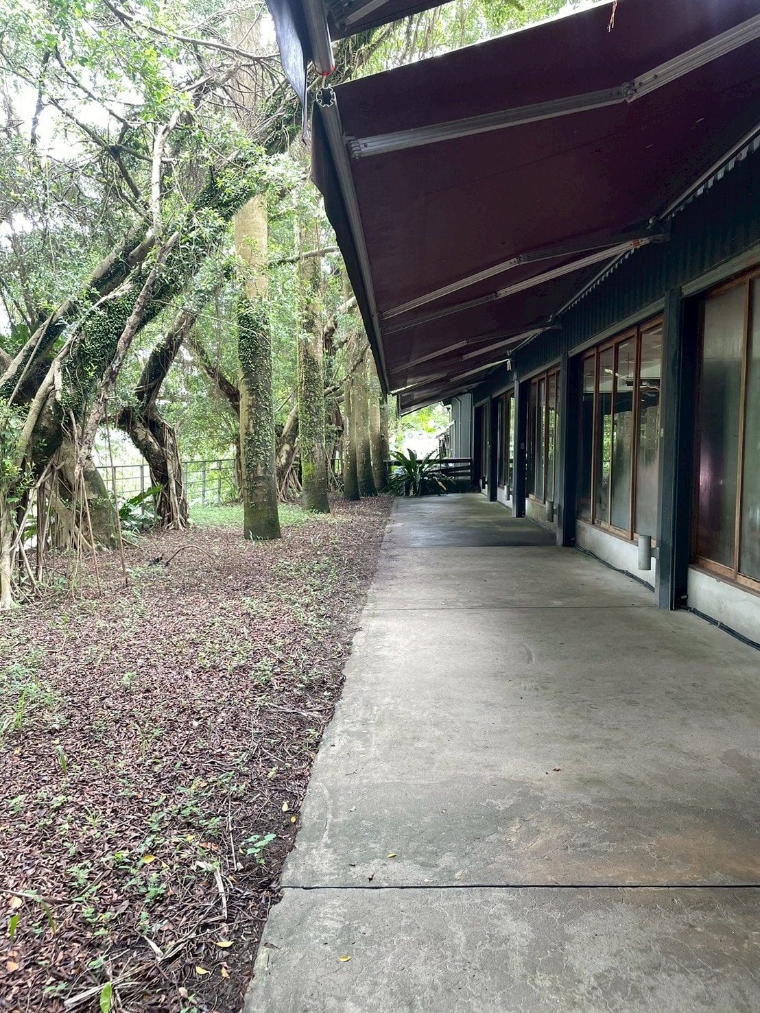 食記名流水岸新北新店烏來日式景觀餐廳x森林系玻璃屋,享受