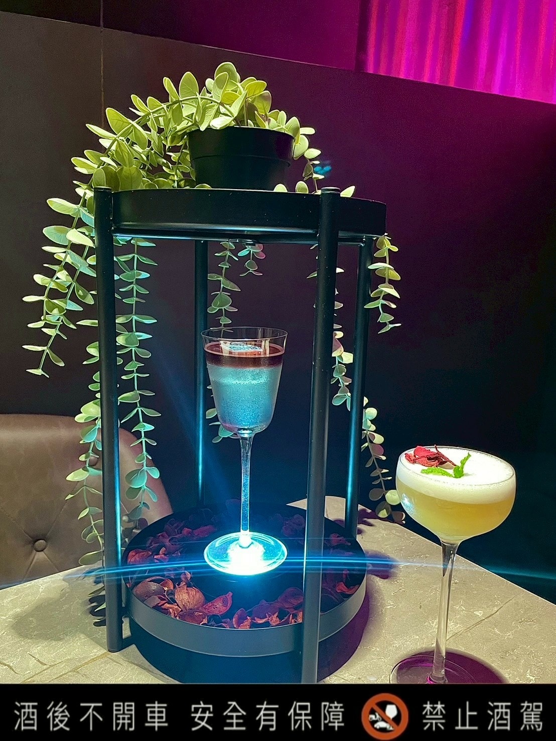 食記Run Round Bistro 奔跑小酒館新北板橋