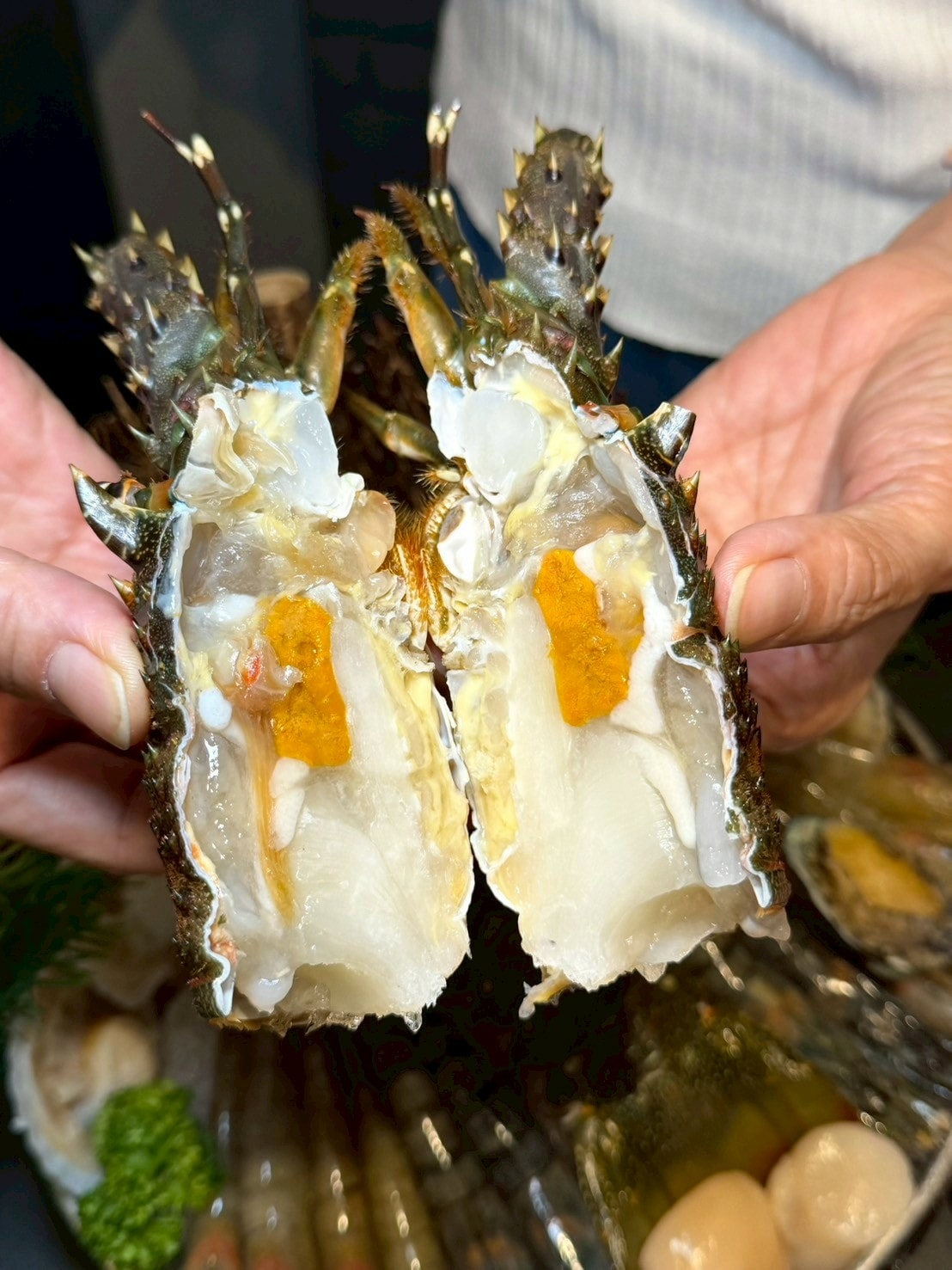 食記藝爐晏精品鍋物台北中山新開幕藝術氛圍美術館火鍋x龍蝦