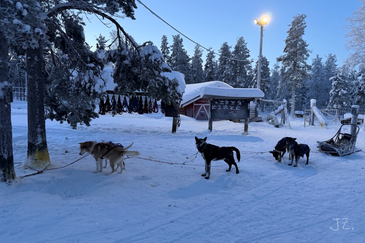 北歐極地行程懶人包｜第一次去北歐怎麼排？冬季雪地活動一次整理