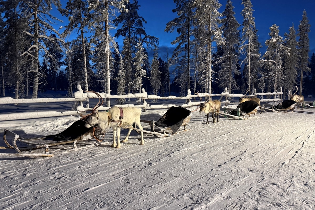 北歐極地行程懶人包｜第一次去北歐怎麼排？冬季雪地活動一次整理
